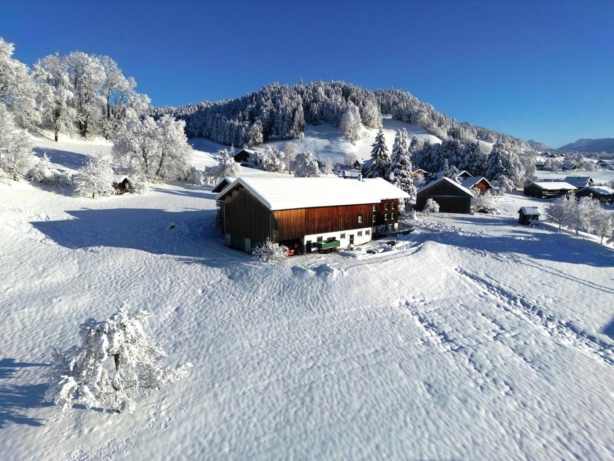 Bergoase Hohenegg Villa Lingenau Bagian luar foto