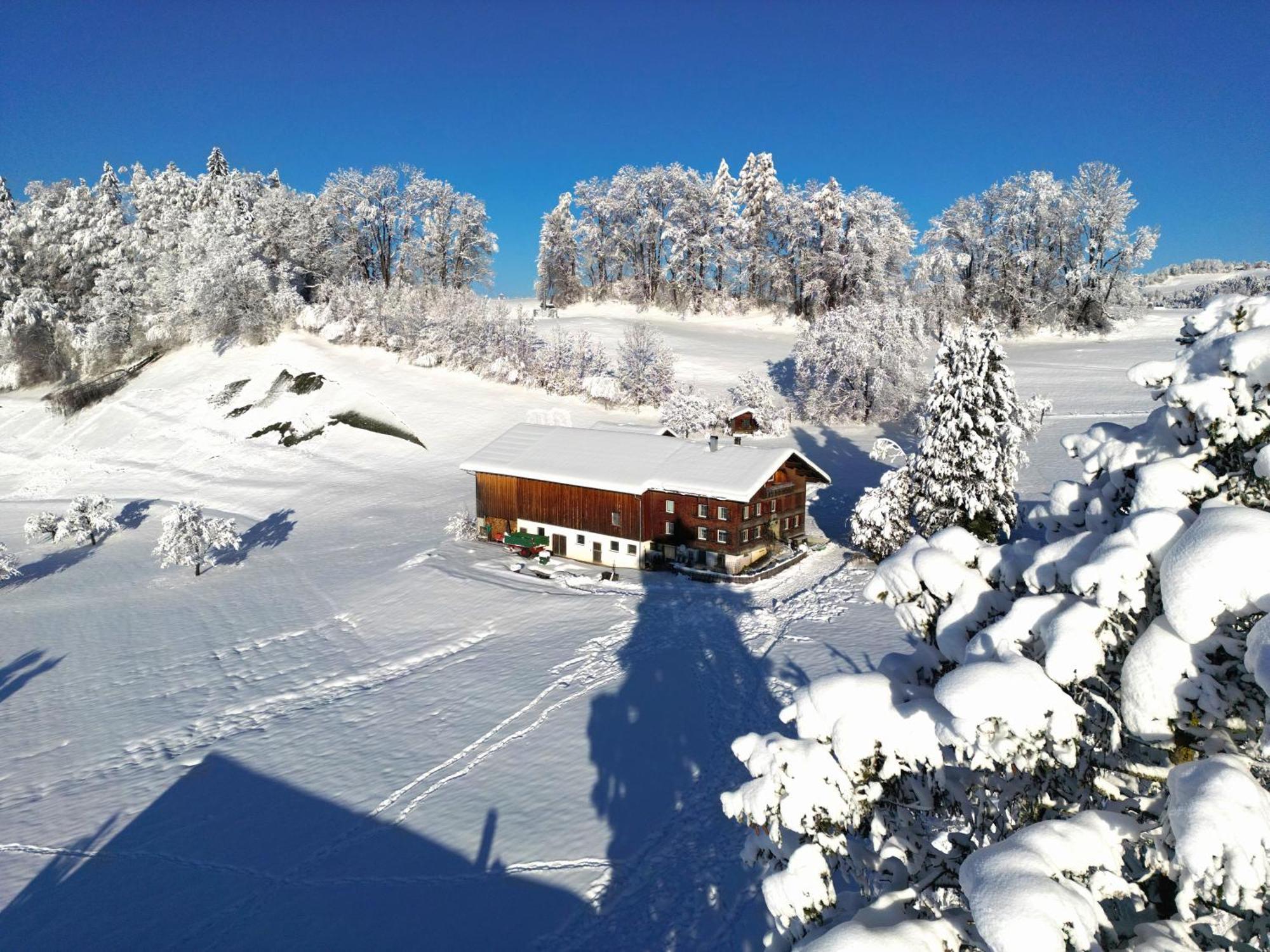 Bergoase Hohenegg Villa Lingenau Bagian luar foto