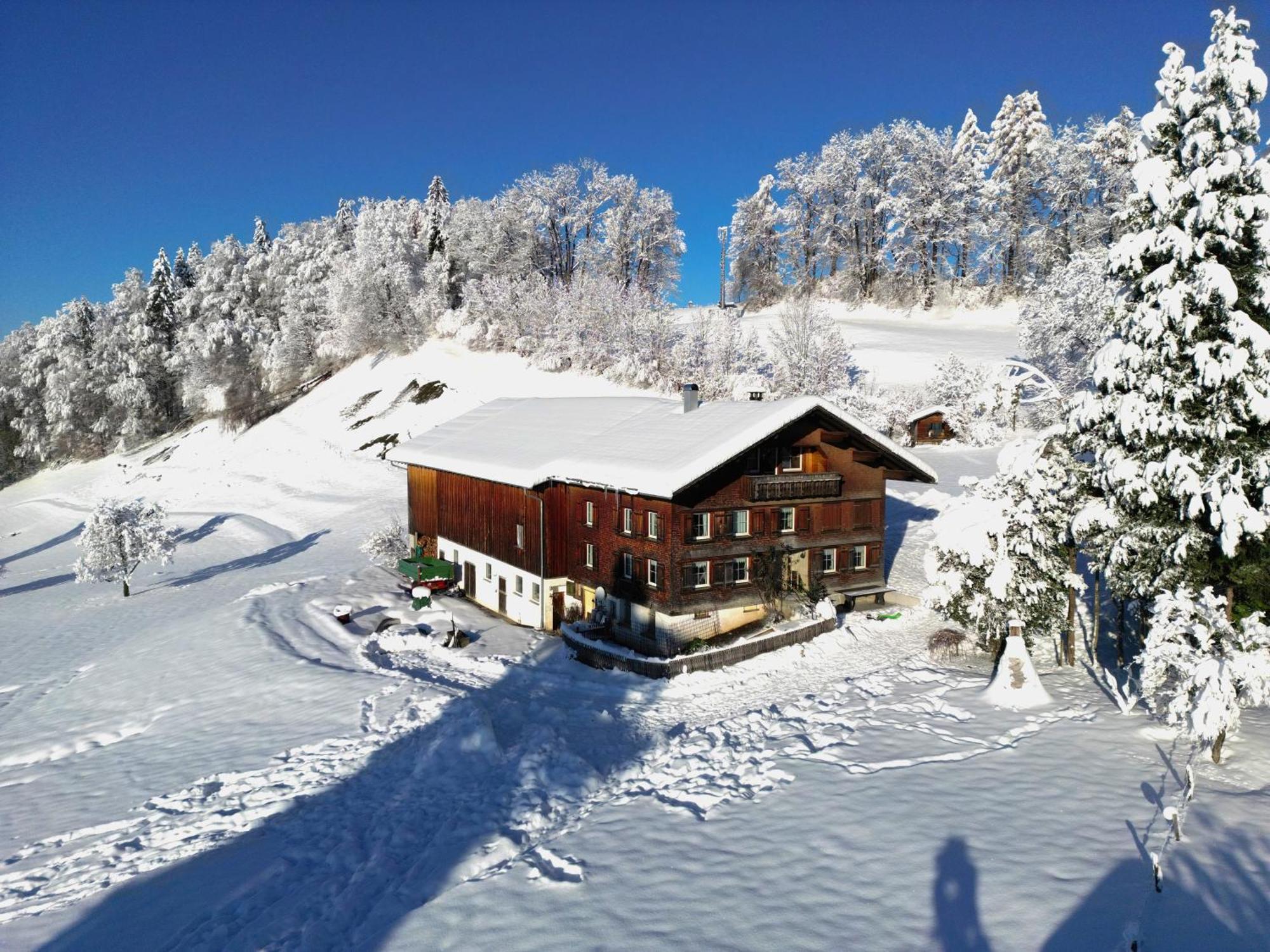 Bergoase Hohenegg Villa Lingenau Bagian luar foto